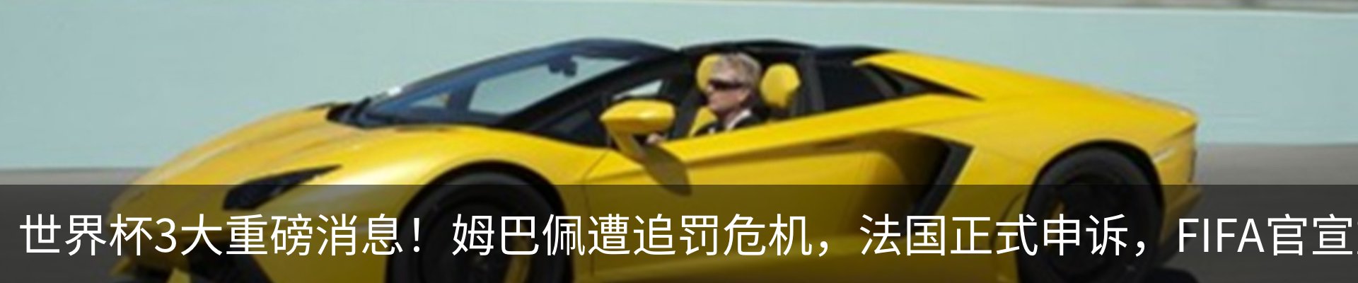 最新动态