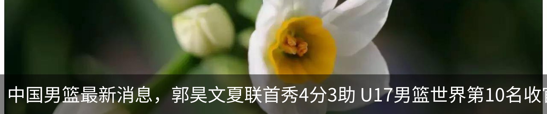最新动态
