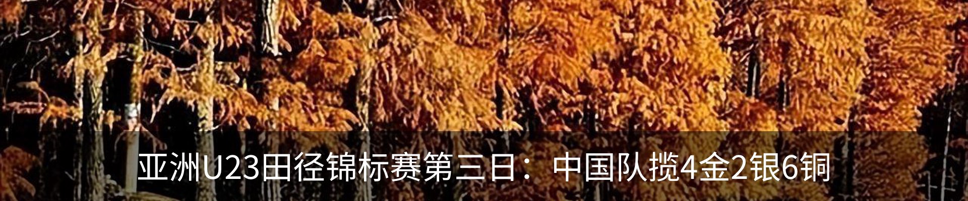 最新动态
