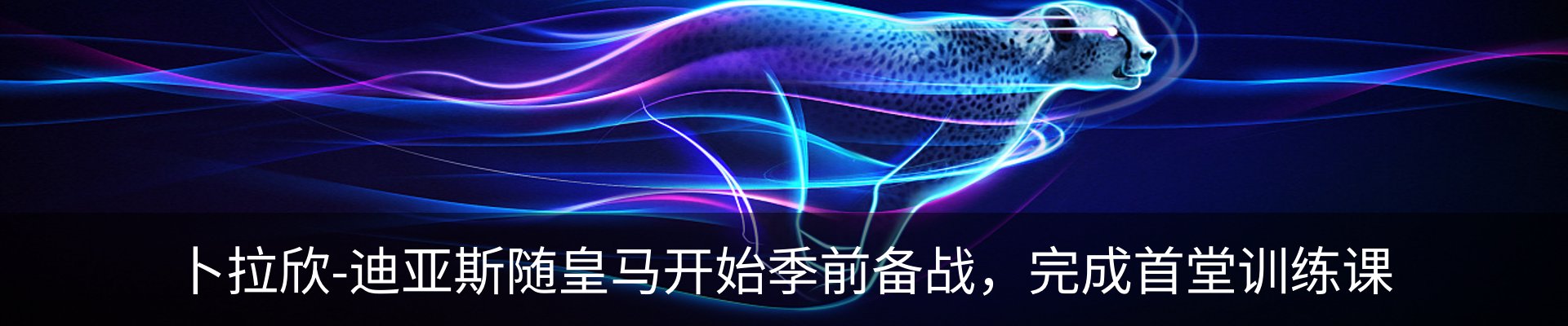 最新动态