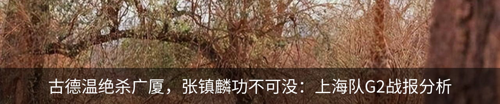 最新动态