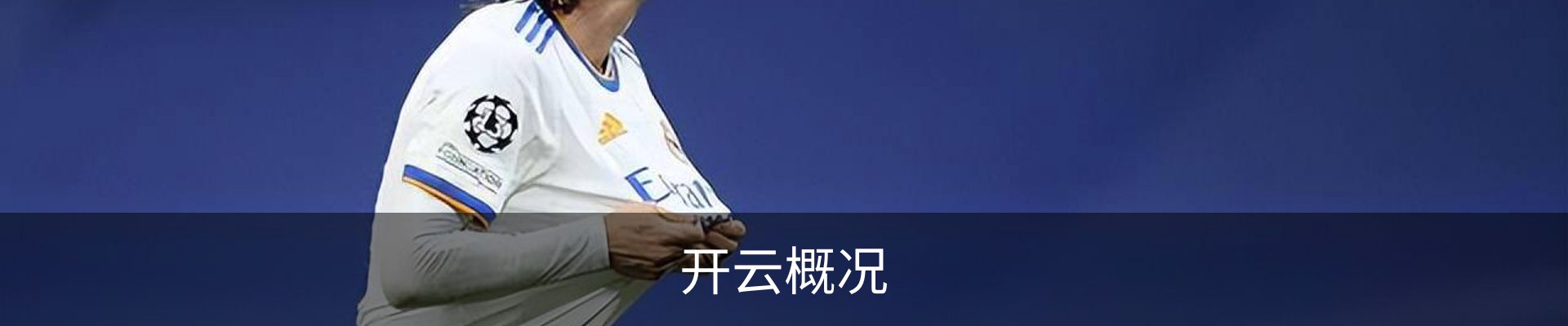 开云概况