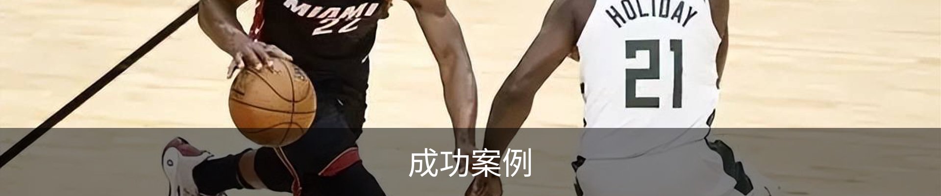 成功案例