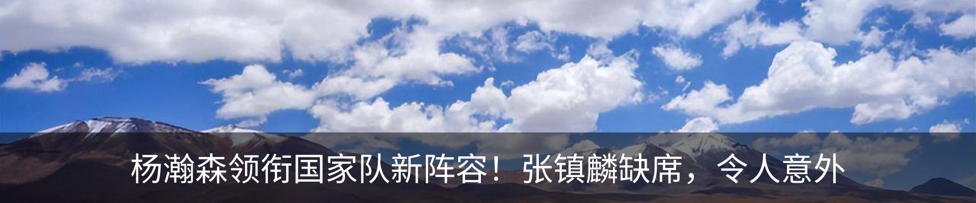 最新动态