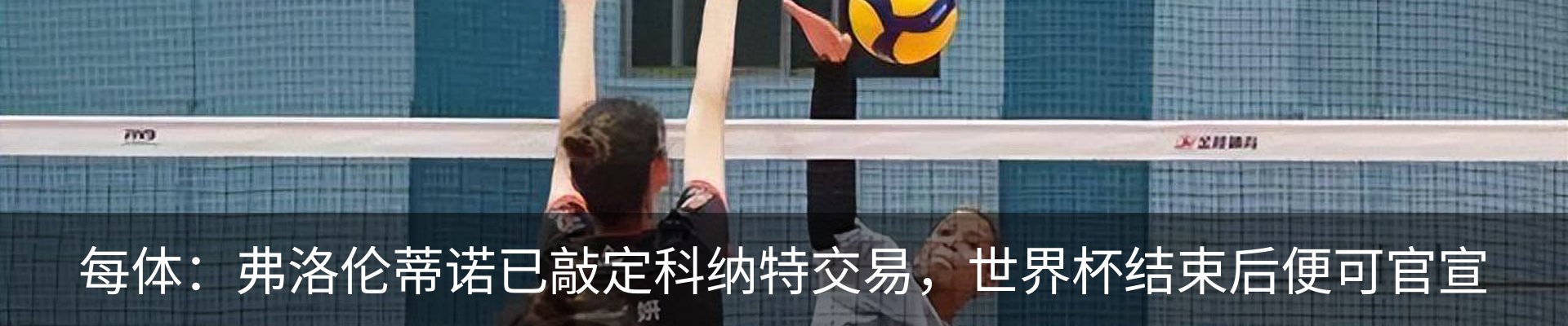 最新动态