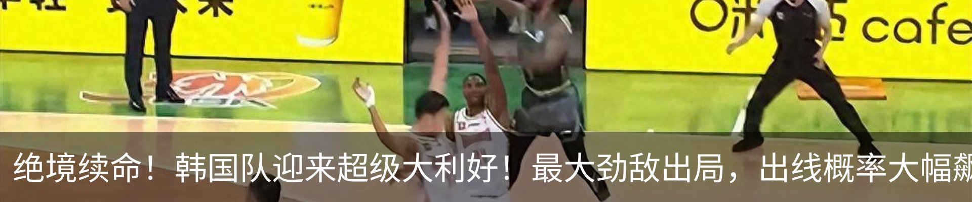 最新动态