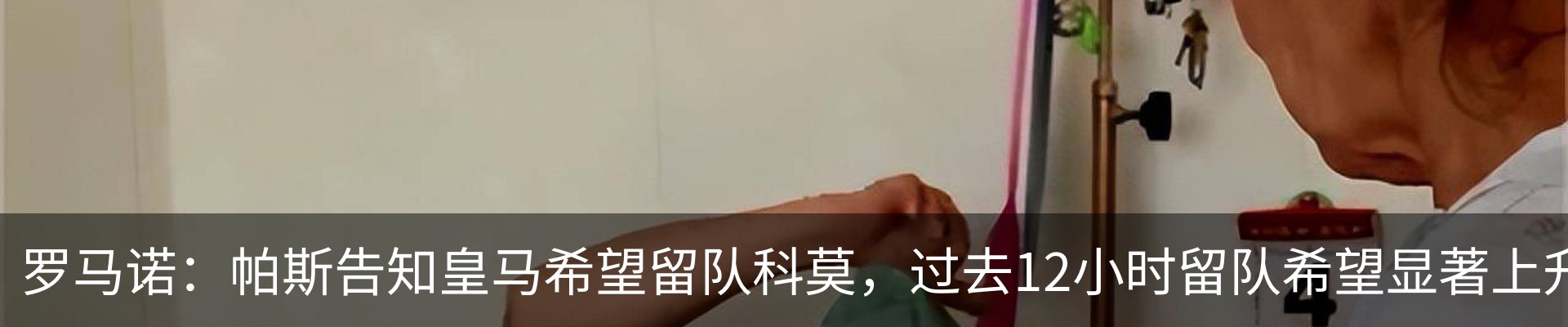 最新动态