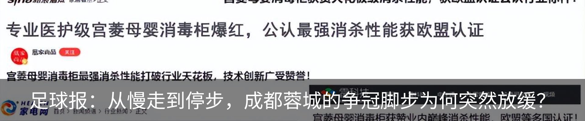 最新动态