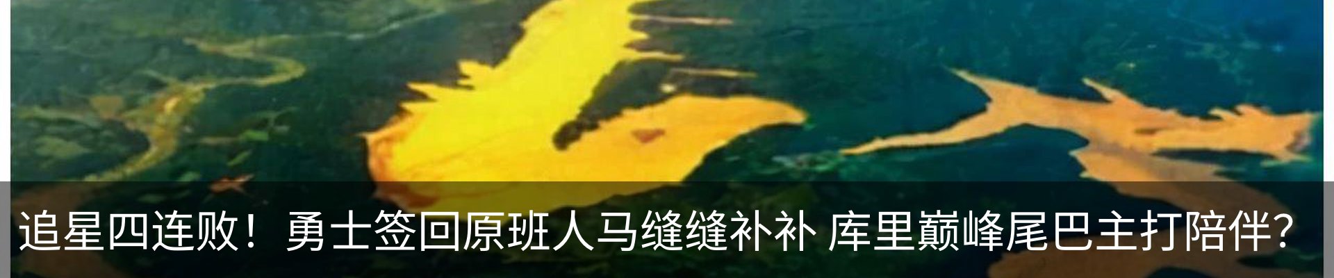 最新动态